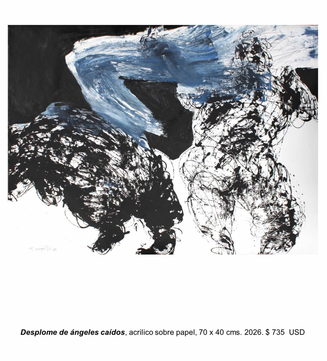 Desplome de Ángeles Caídos, obra de Carolina Tangassi