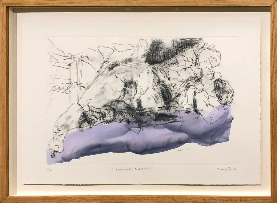 Contornos desfasados, obra original de Carolina Tangassi; Punta seca e imagen sobre papel · 84 x 61 x 5 cm · 2024,...