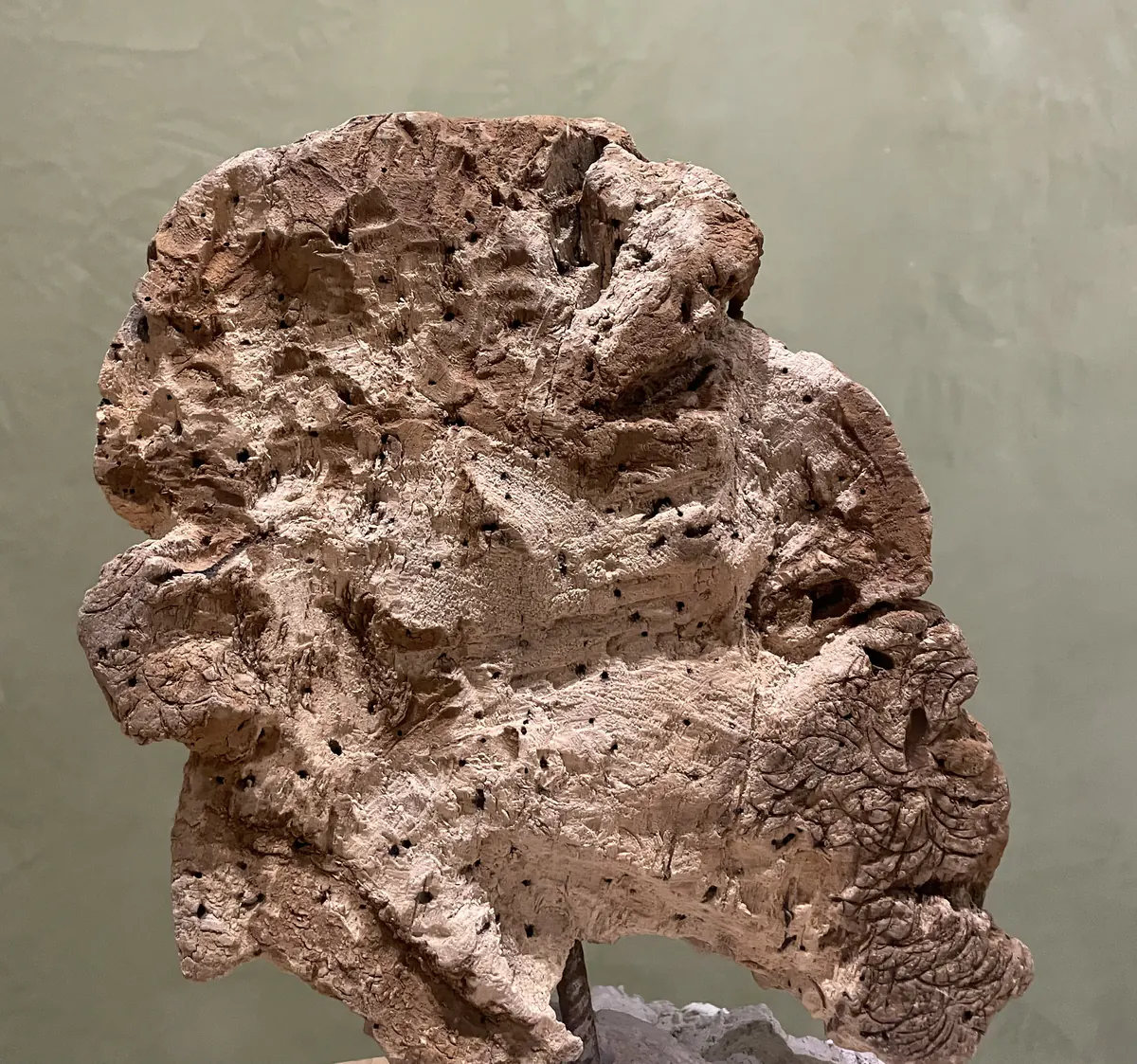 Cabeza, obra de Toro Amillategui