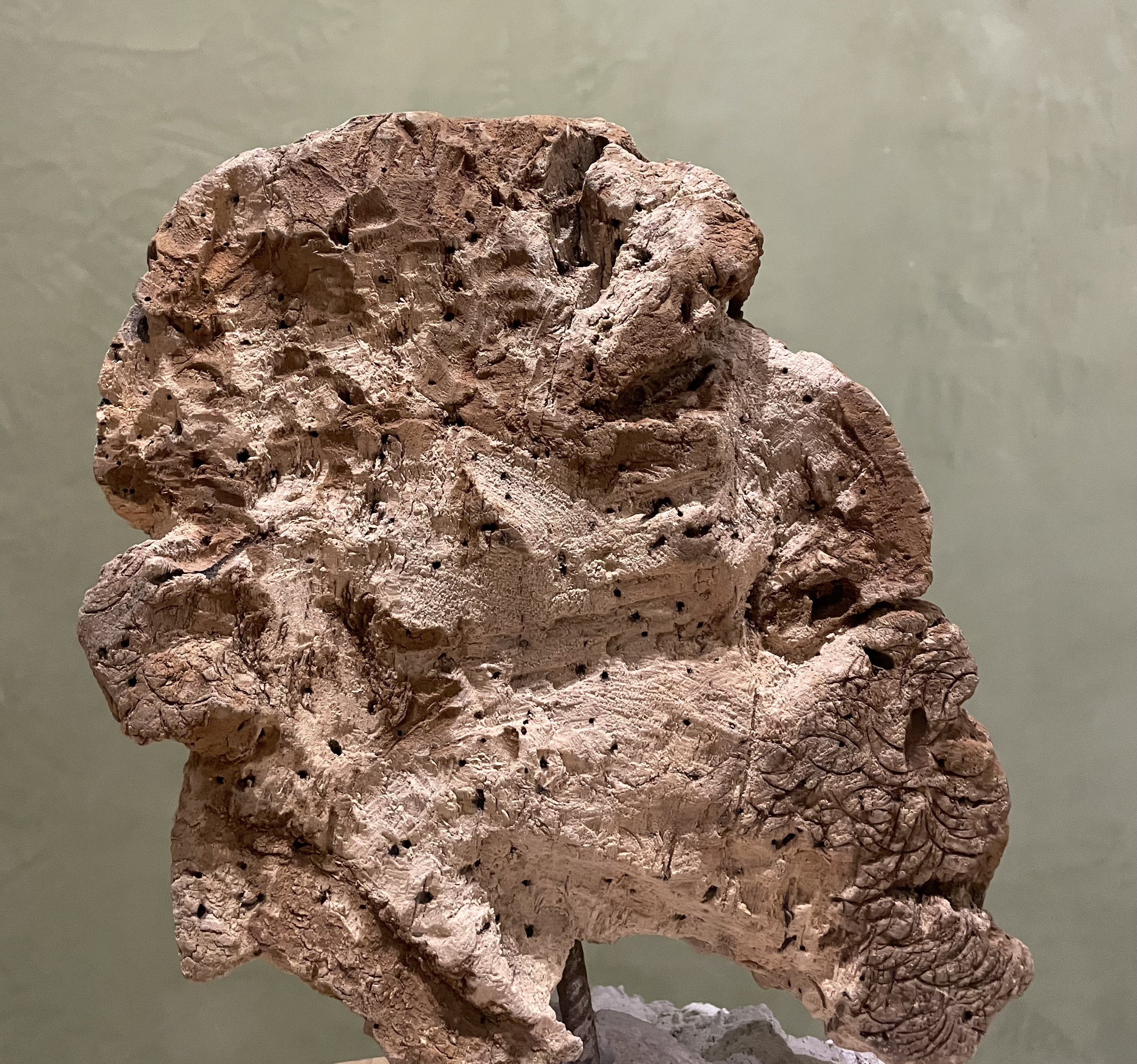 Cabeza, obra de Toro Amillategui