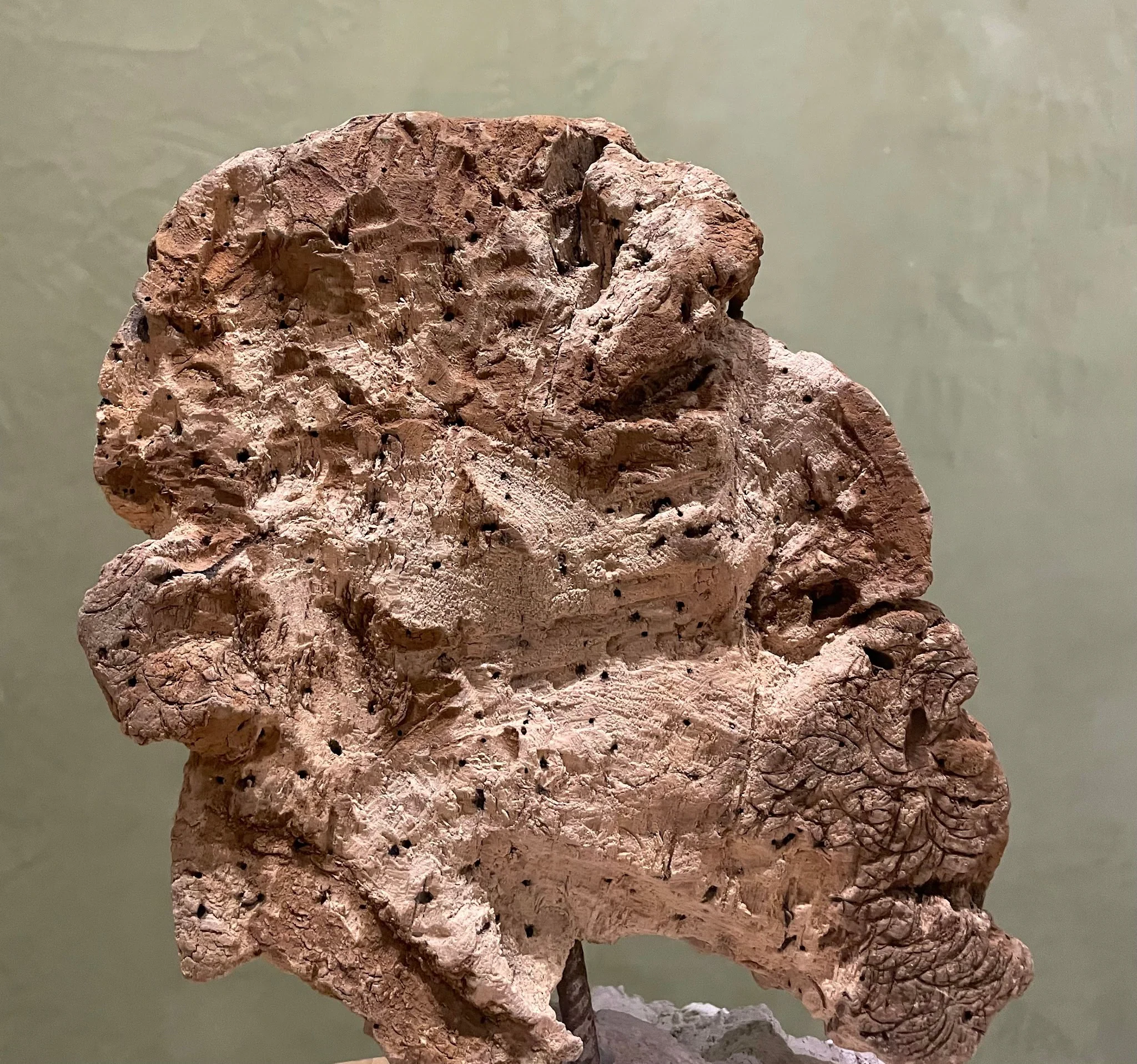Cabeza Lumpen, obra original de Toro Amillategui; Escultura en madera de colorín tallada · 25 x 30 x 12 cm · 2026,...